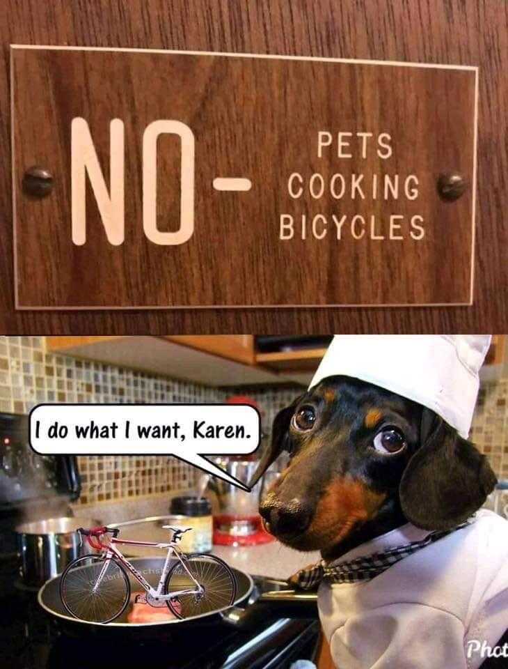 there is a dog that is wearing a chef hat and cooking