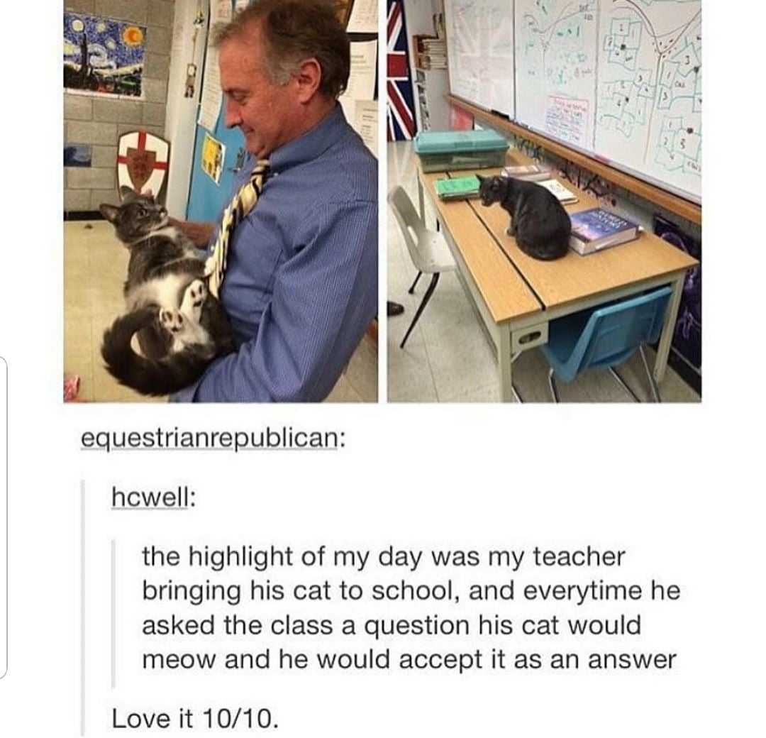 there is a man holding a cat in his lap in a classroom