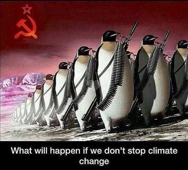 penguins with weapons and a hammer in their hands are lined up