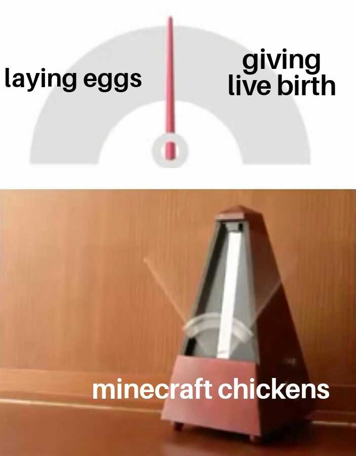 there are two different pictures of a clock with a text saying, giving live birth minecraft chickens