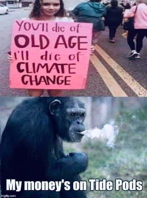 chimpan holding a sign that says you ' ll die of old age and a huge change