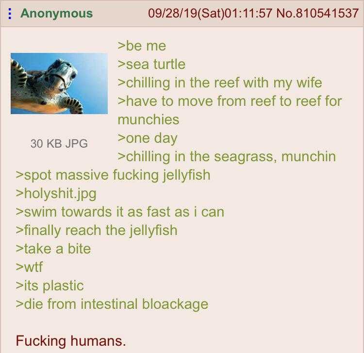 a close up of a text message with a picture of a turtle