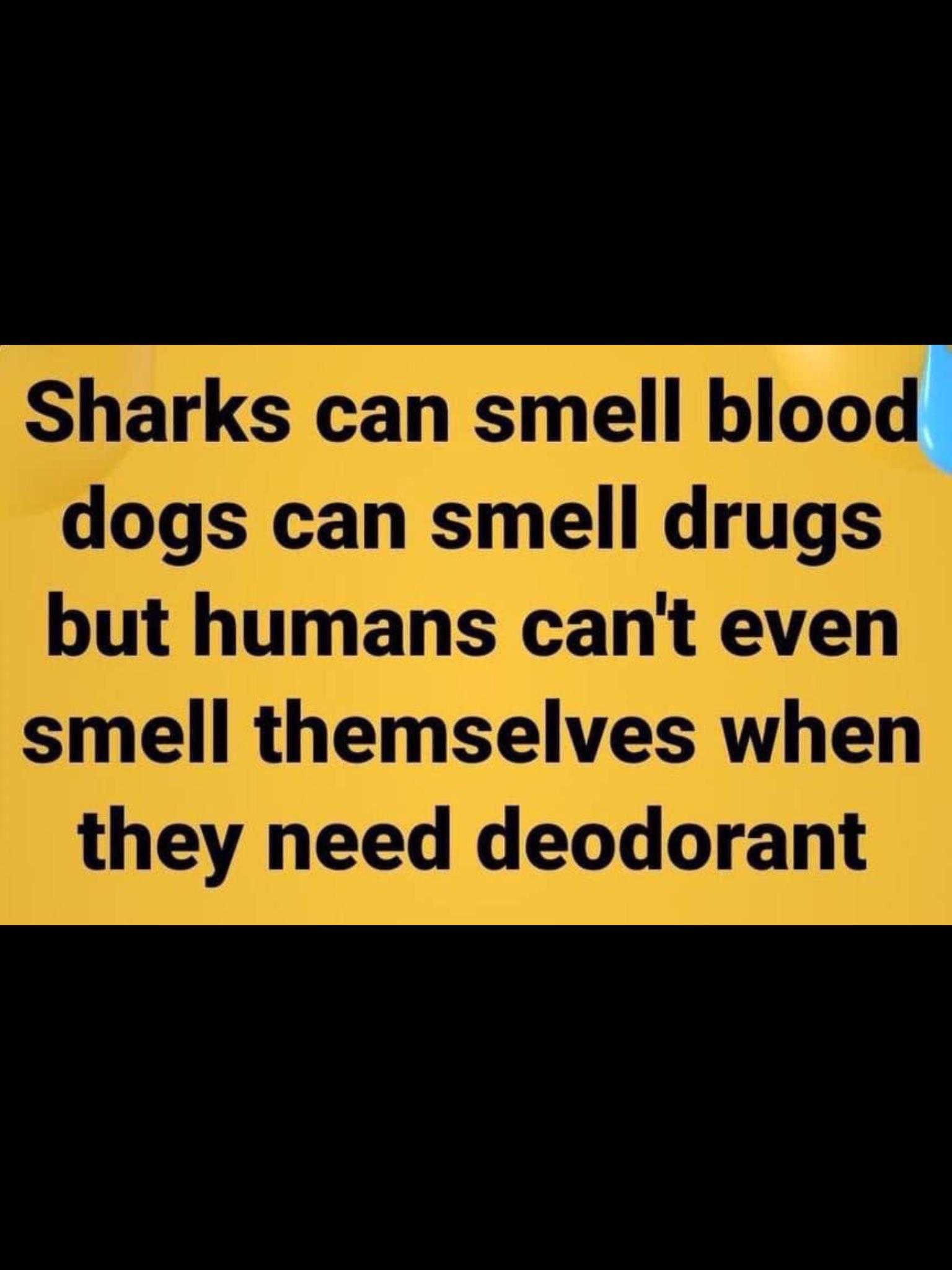 there is a sign that says sharks can smell blood dogs can smell drugs but humans can ' t even smell themselves when they need deodorant