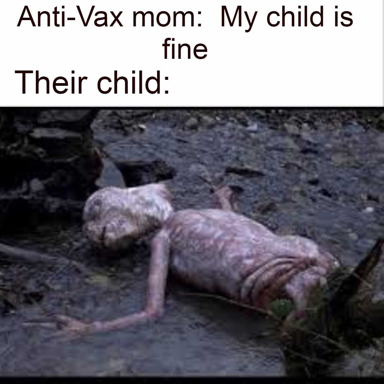 animal laying on the ground with a caption saying anti - vax mom my child is their child