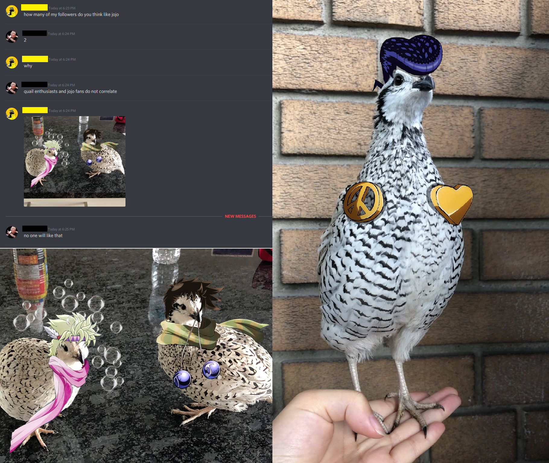 there are two pictures of a bird with a hat on it