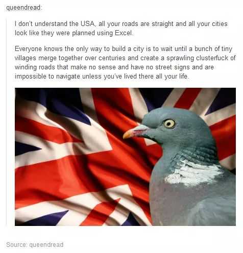 a close up of a pigeon on a flag with a caption of a message