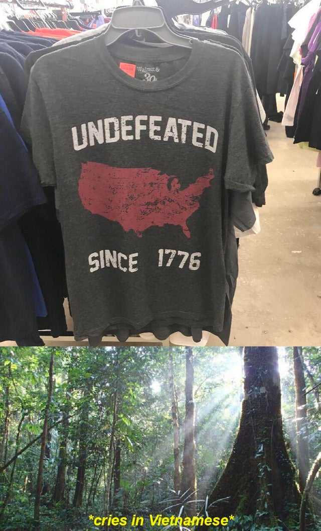 there are two pictures of a shirt that says undefeated since 1776