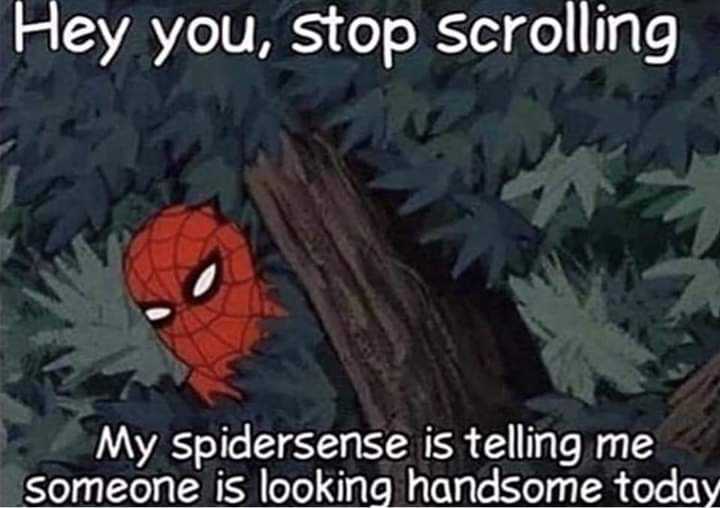 a close up of a cartoon spider - man in a tree with a caption saying hey you stop scrolling