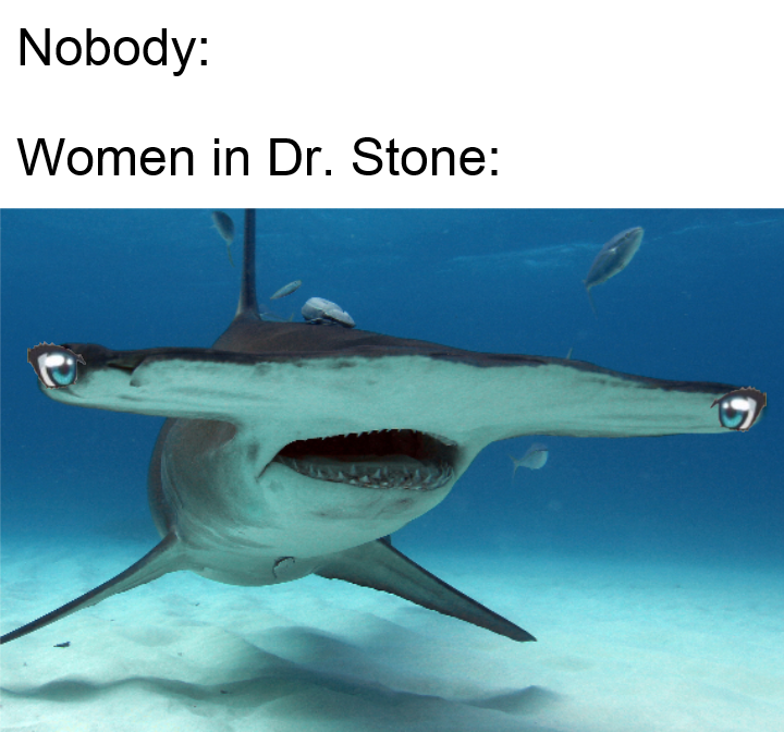 there is a shark that is swimming in the ocean with a caption