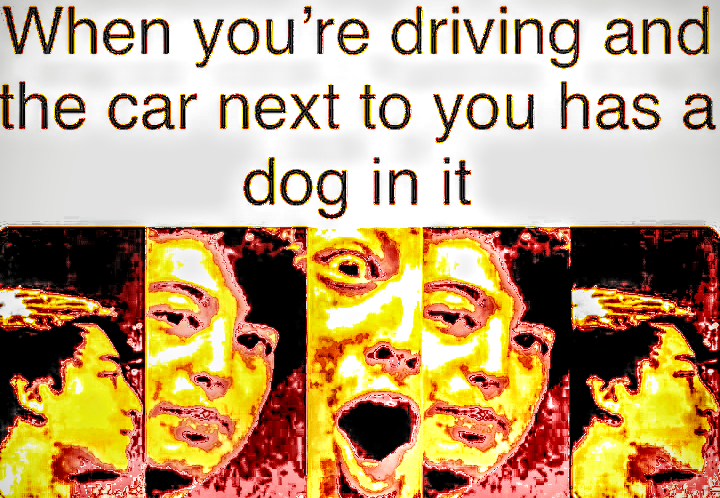 there are three pictures of a dog with a sign that says when you ' re driving and the car next to you has a dog in it