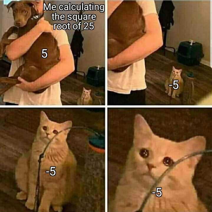 four pictures of a cat being held by a person with a leash