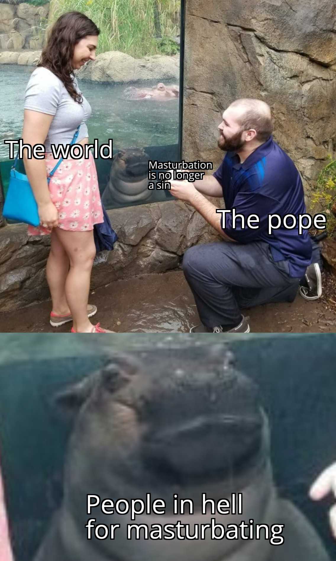 a woman is kneeling down to pet a seal in a zoo