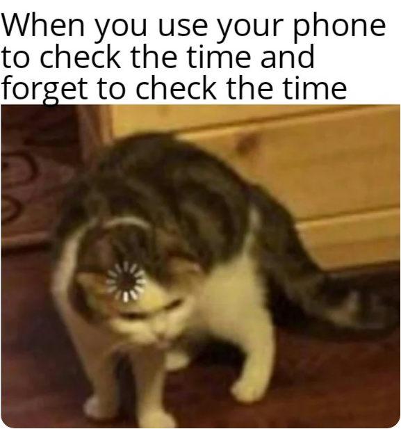 araffe cat standing on the floor with a caption saying when you use your phone to check the time and forget to check the time