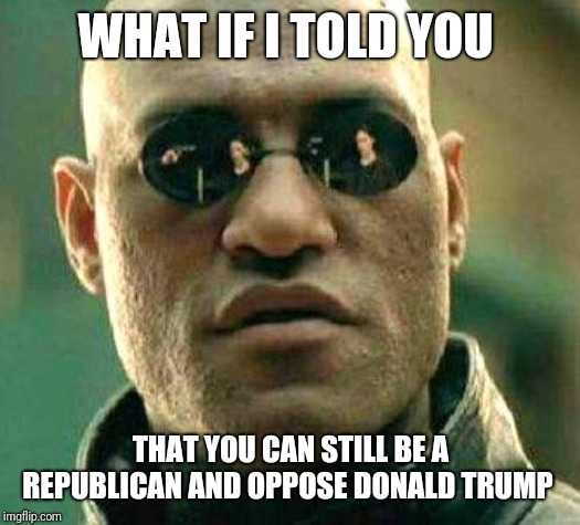 what if i told you that you can still be republican and oppse donald trump