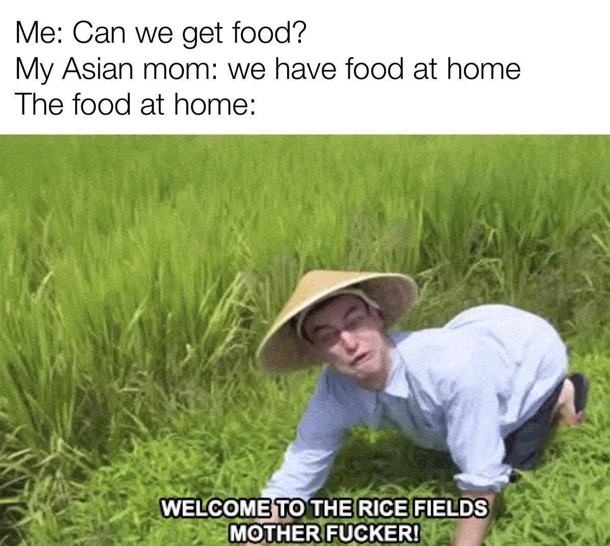 asian man in a hat crouches down in a field