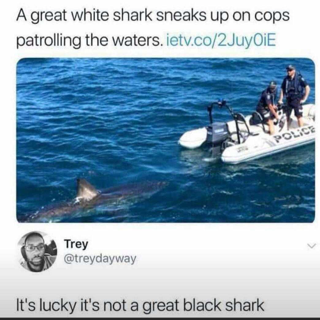 a man on a boat with a shark in the water