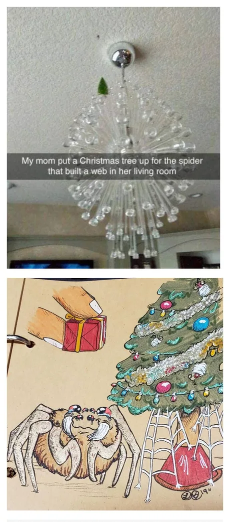 a series of pictures of a christmas tree and a spider