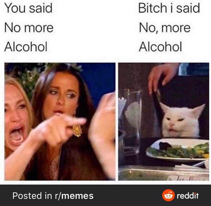 woman pointing at a cat with a glass of alcohol