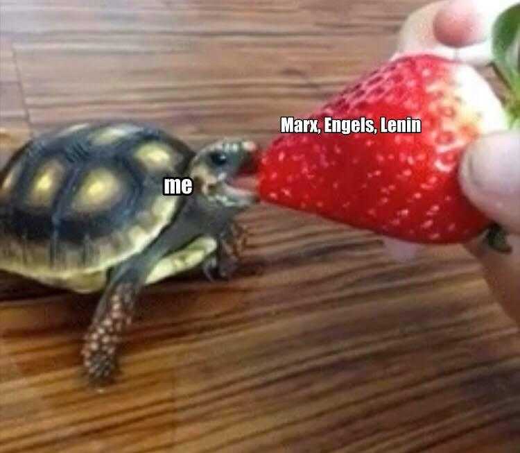 someone is feeding a turtle a strawberry on the table