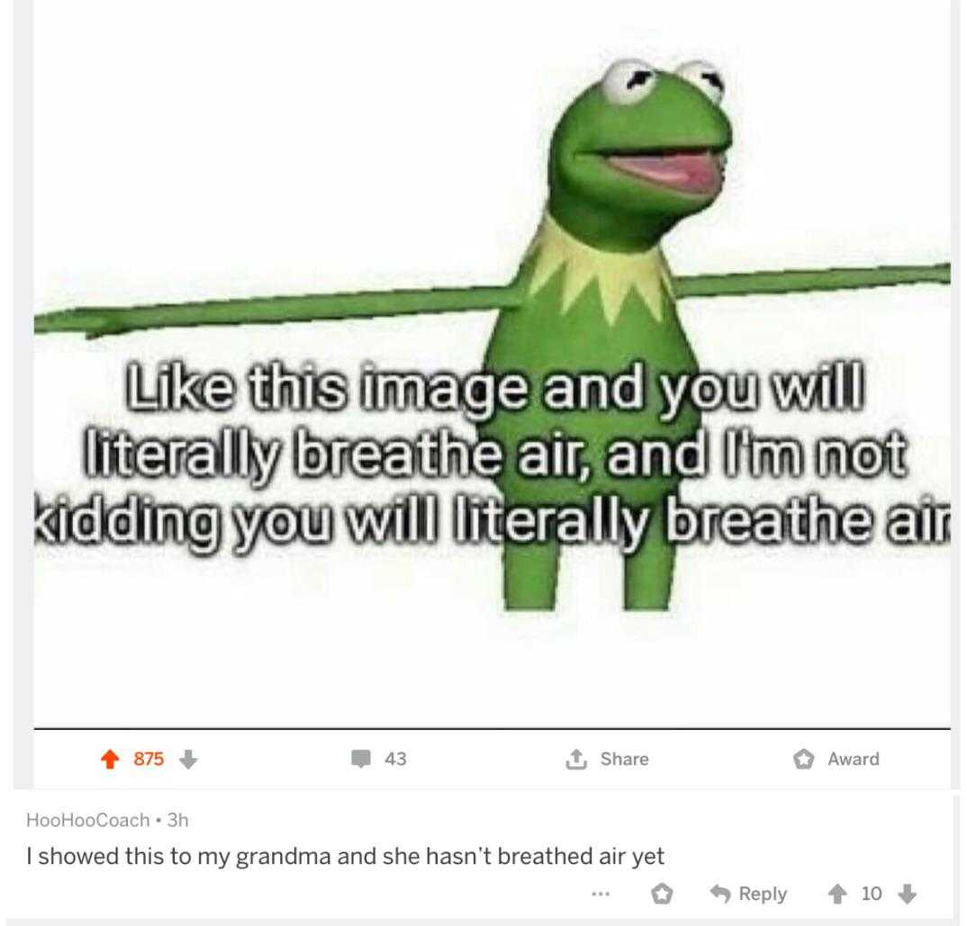 a screenshot of a meme with a caption of kermile the frog