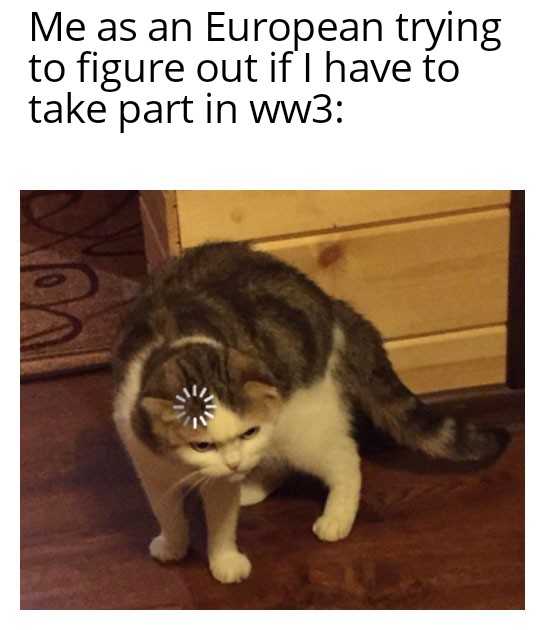 cat standing on a wooden floor with a caption that reads me as an european trying to figure out if i have to take part in ww3