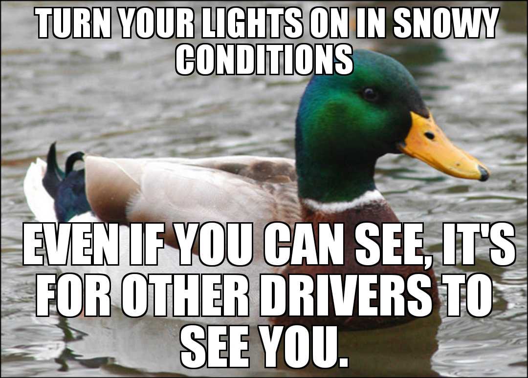 duck in the water with caption saying turn your lights on in snow conditions