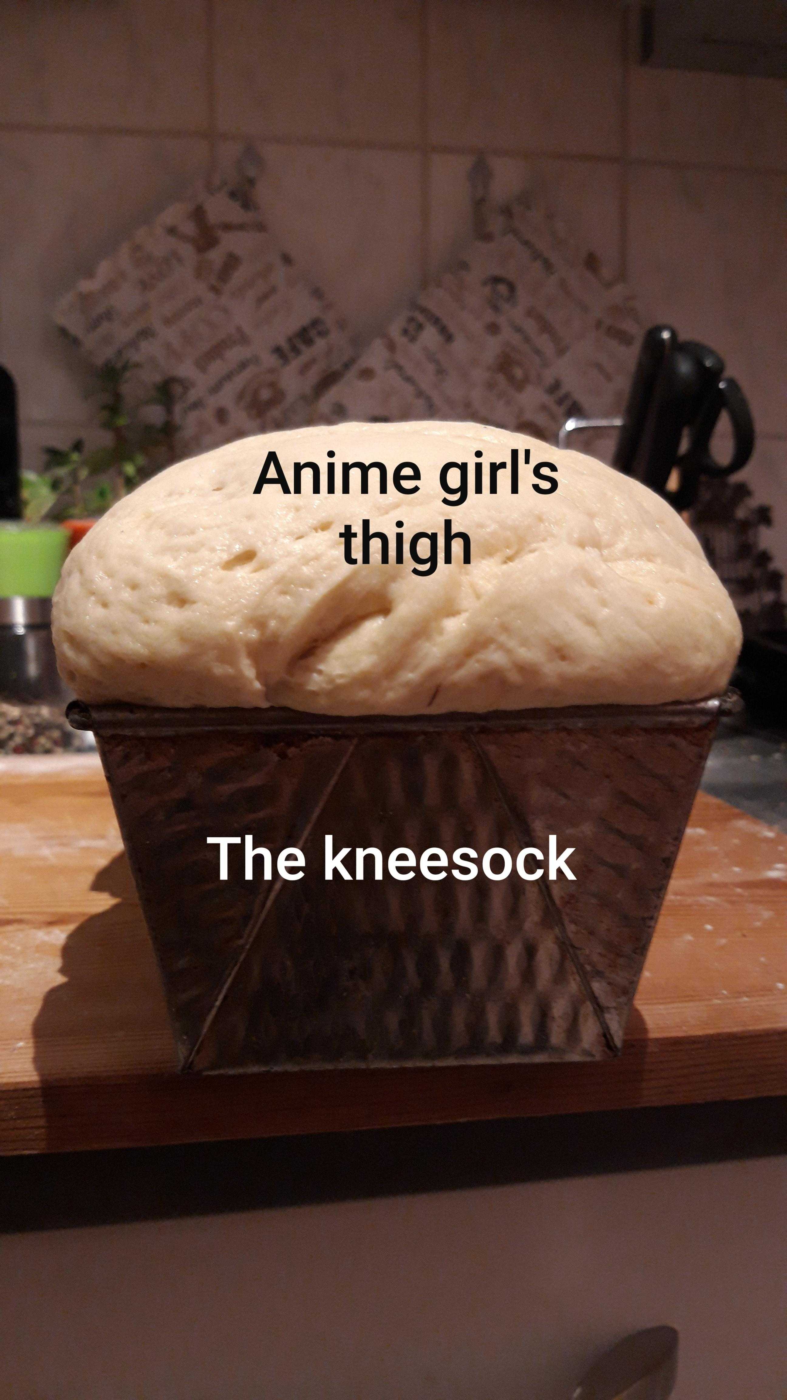 loaf of bread sitting on a counter with a caption that reads, annie girl ' s thigh the knessock