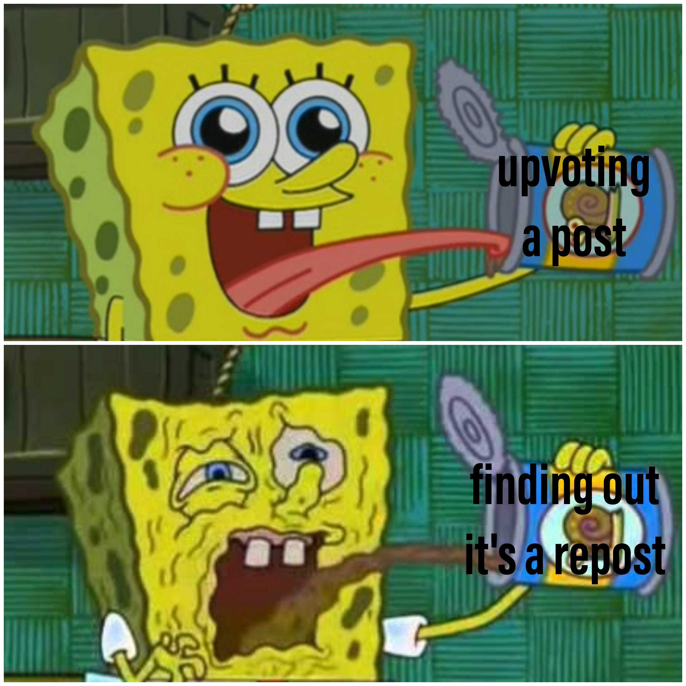 cartoon spongebob with caption saying upvoting a post finding out it ' s a repost