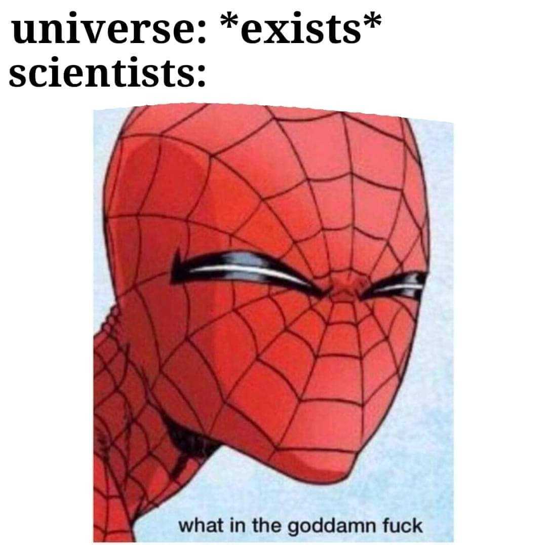 a cartoon picture of a spider man with a caption that reads, universe exists scientists what in the go