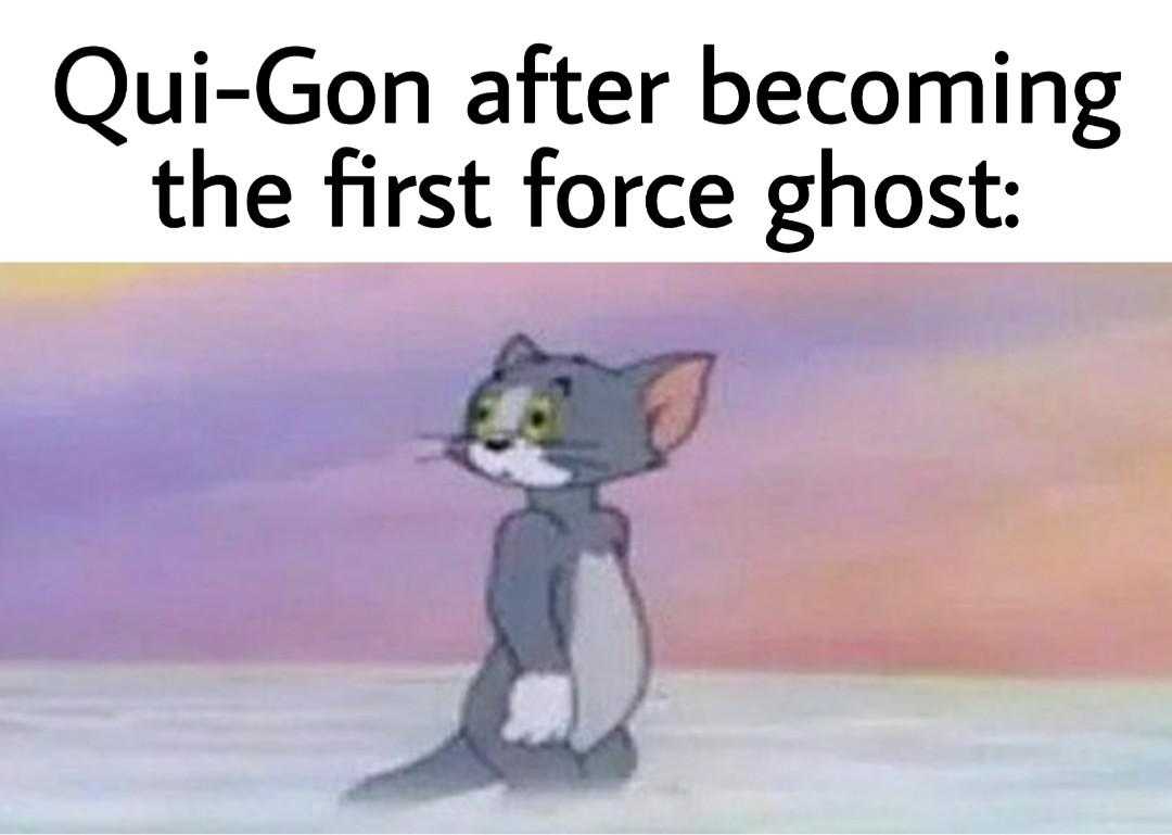 a cartoon cat with a caption saying, ' qui - gon after becoming the first force ghost