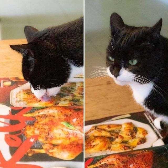 there are two pictures of a cat eating pizza on a table