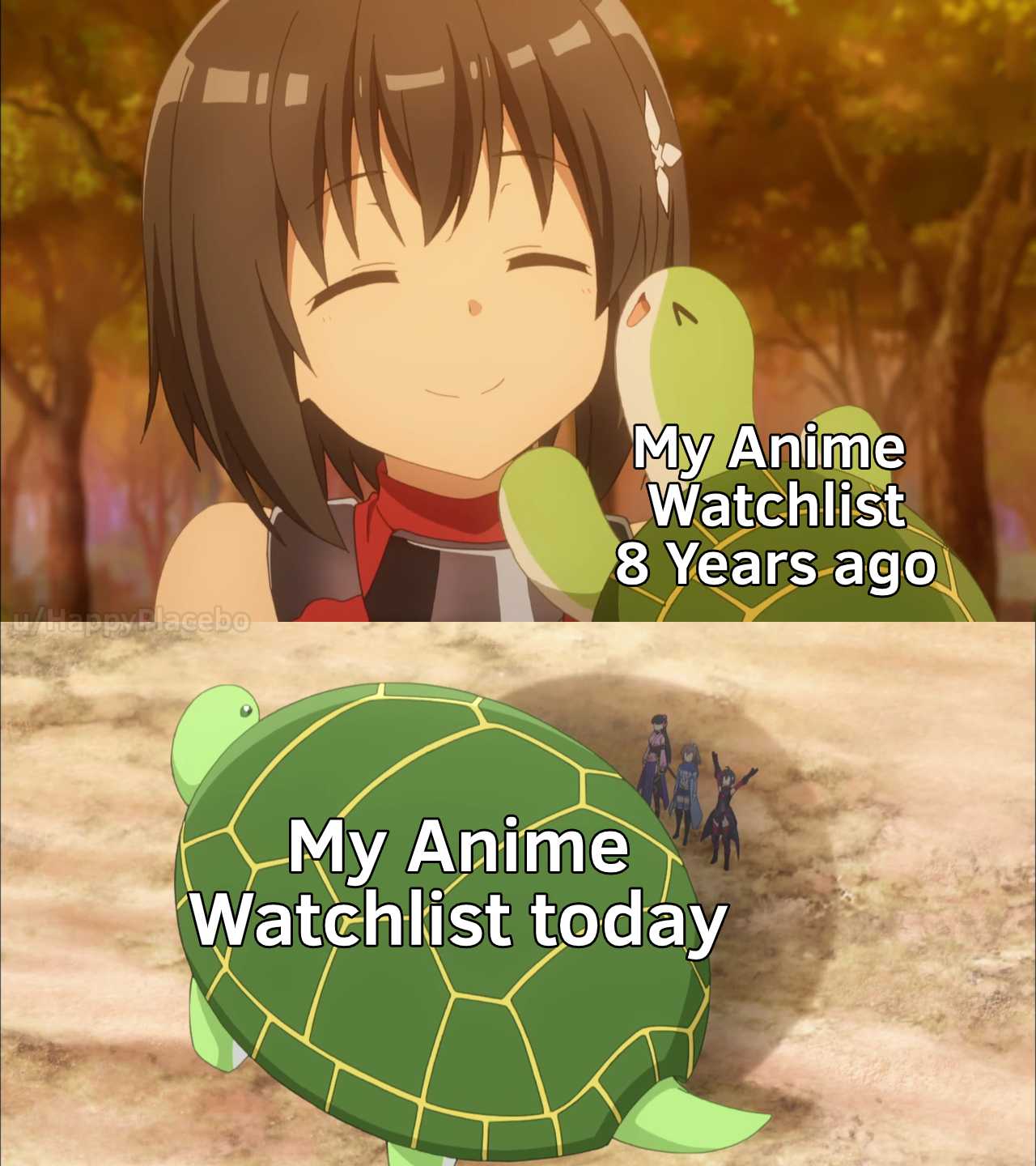 anime meme of a girl holding a turtle and a turtle