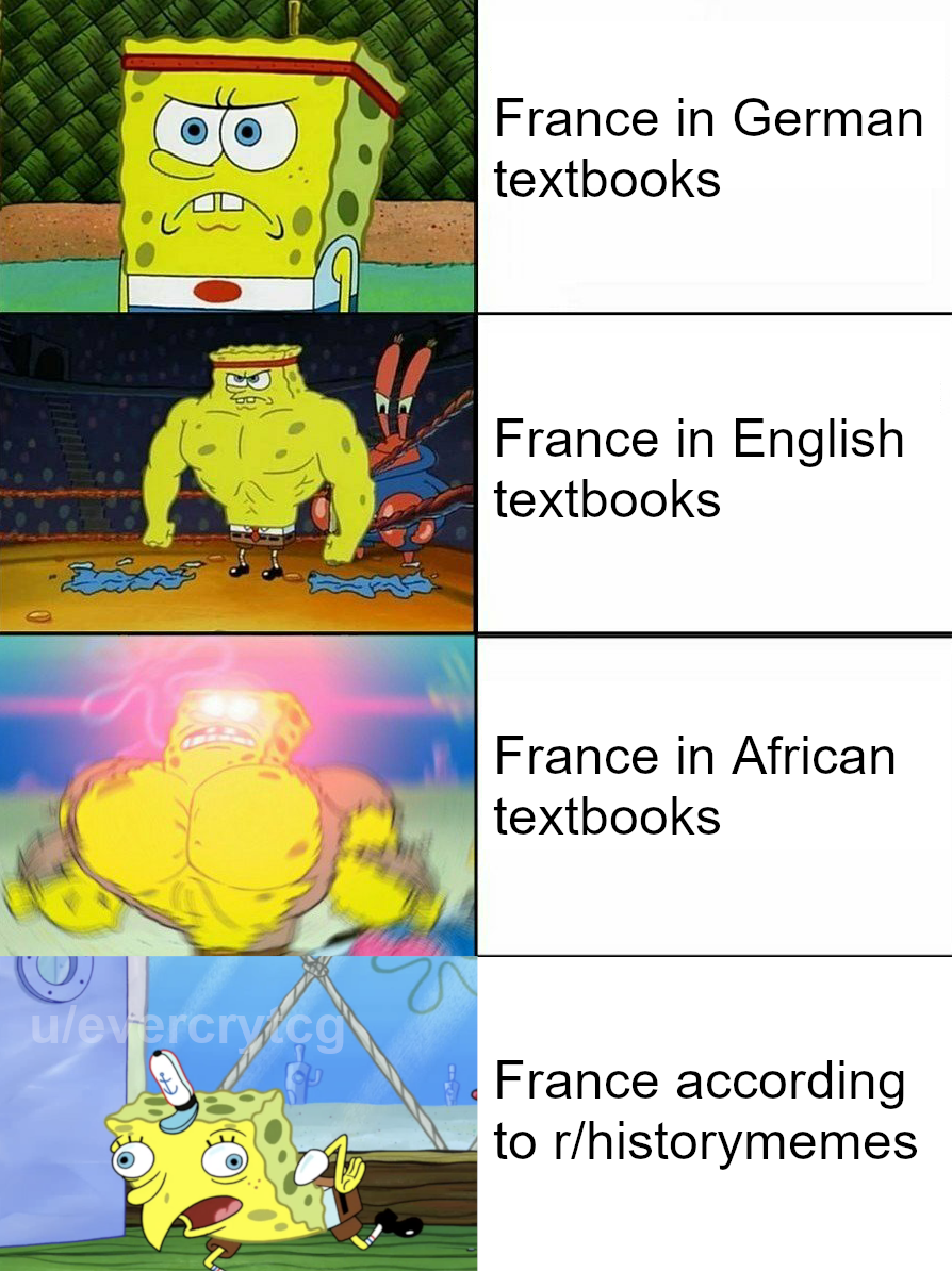 a cartoon picture of a sponge sponge with a caption of france in german textbooks france in english textbooks france in african textbooks france according to