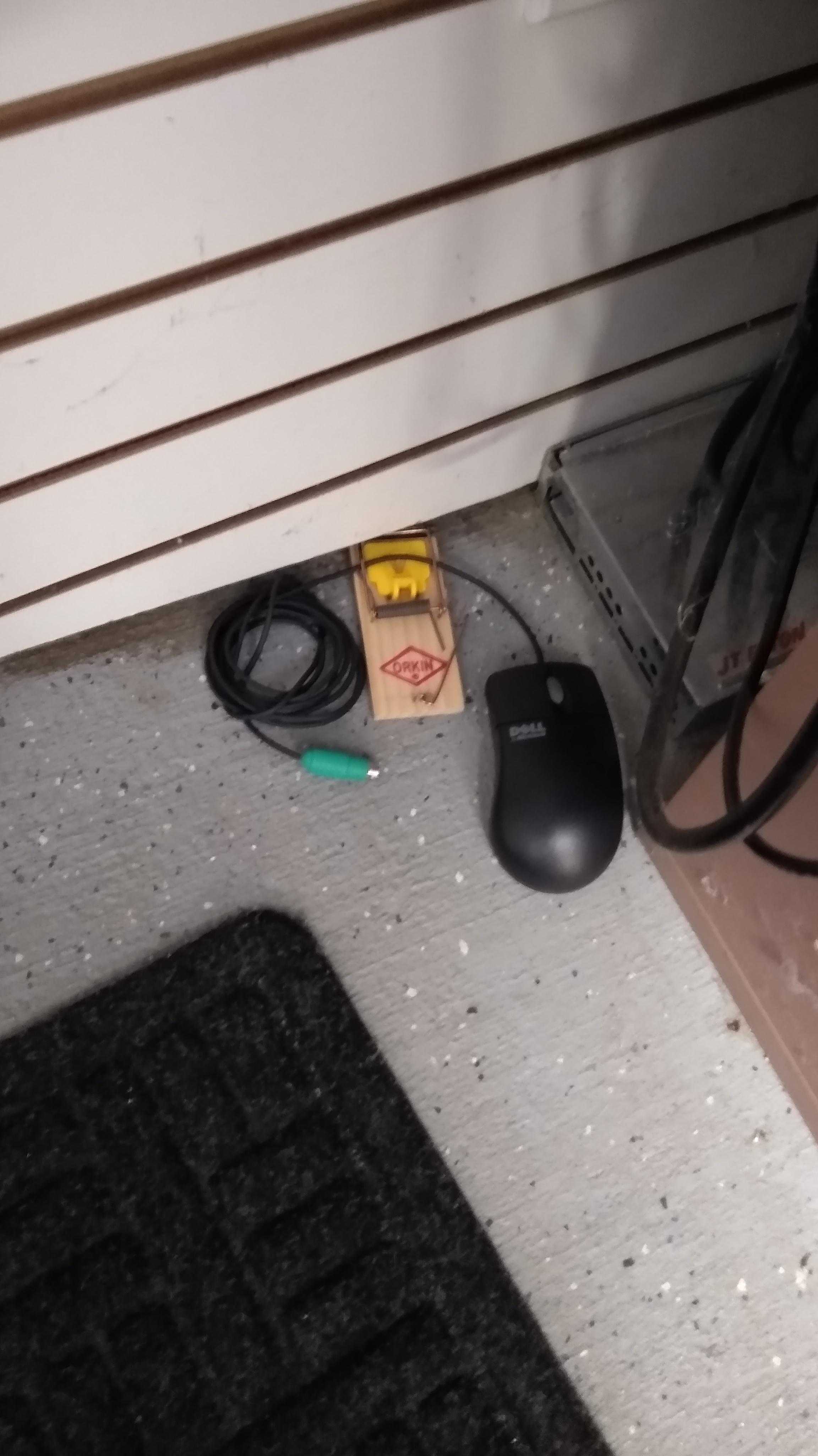 there is a mouse and a mouse pad on the floor