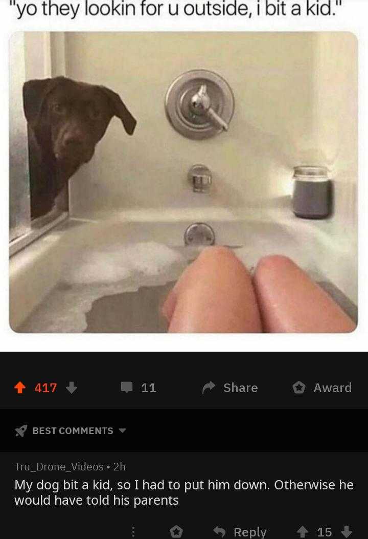 araff dog in a bathtub with a person ' s feet in the tub