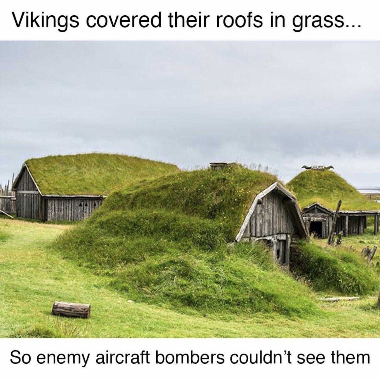 there are two barns with grass on top of them in a field