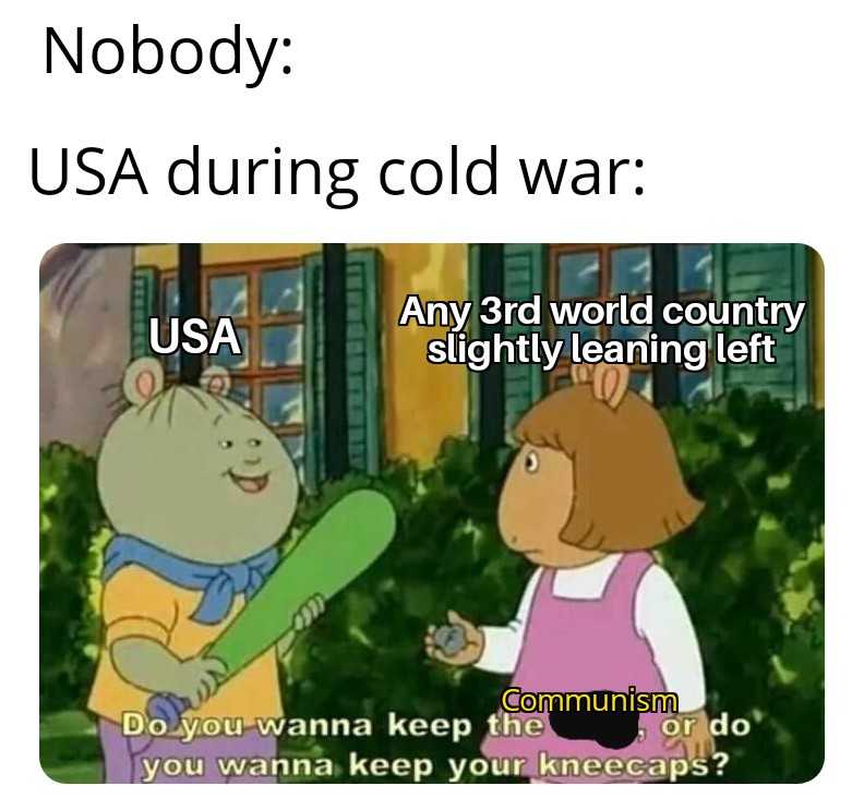 cartoon of a girl holding a baseball bat and a cat with a caption saying nobody usa during cold war