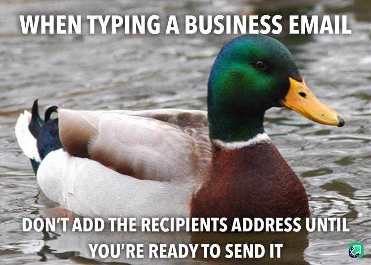 duck in the water with caption saying when typing a business email don ' t ad the recipient ' s address until you ' re ready to send it