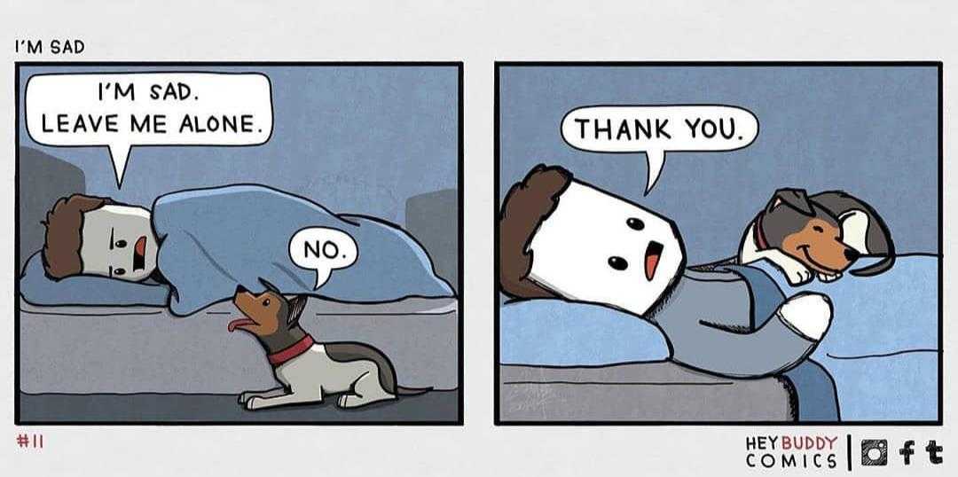 cartoon of a man laying in bed with a dog and a pillow