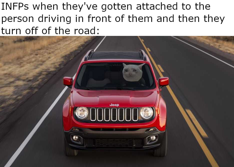 jeep driving down a road with a dog sticking its head out the window