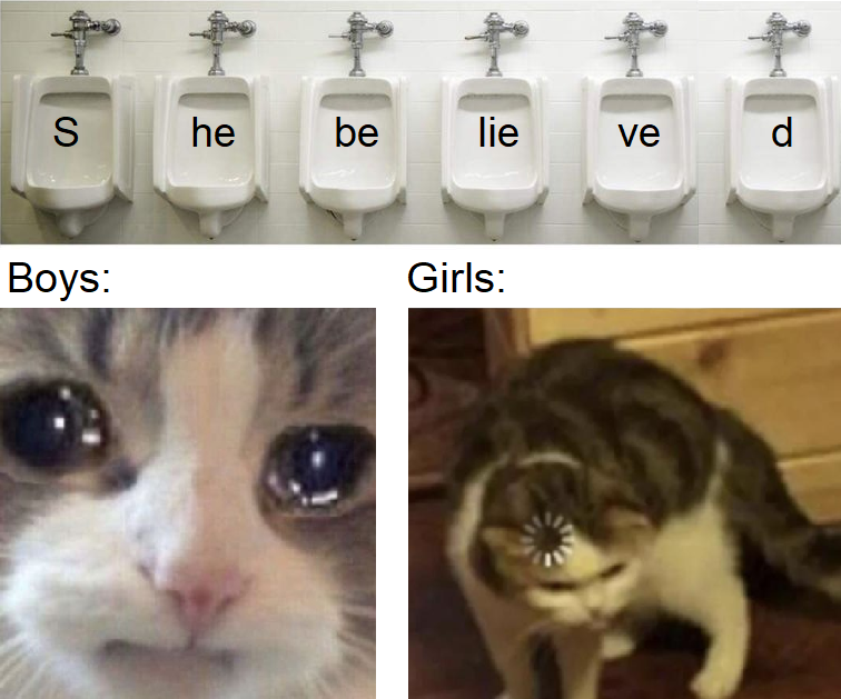 there are four pictures of a cat that are in a bathroom