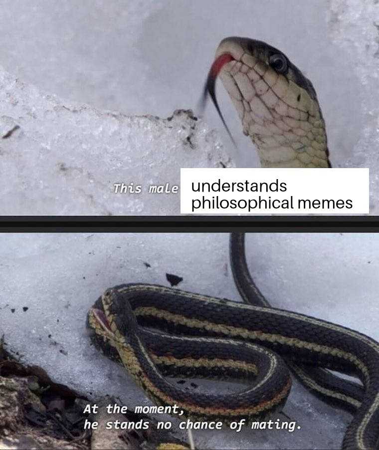 there are two pictures of a snake with a caption on it