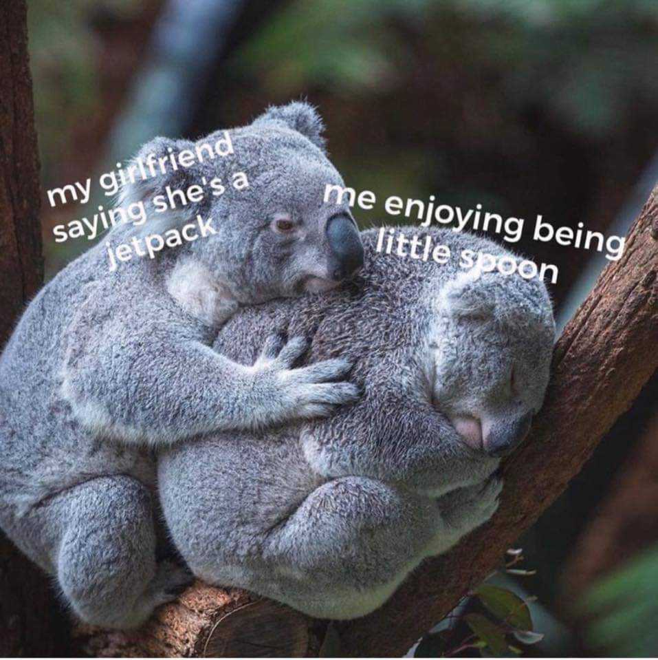 there is a koala bear hugging a baby on a tree branch