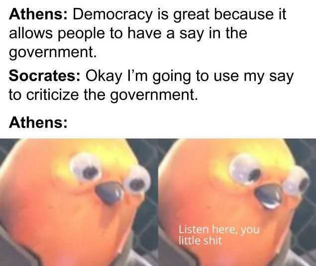 a close up of two oranges with eyes and a caption that reads, aliens democracy is great because