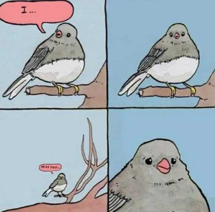 cartoon of a bird sitting on a branch with a speech bubble above it