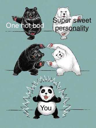 there are four different types of bears and pandas with the words one not boo