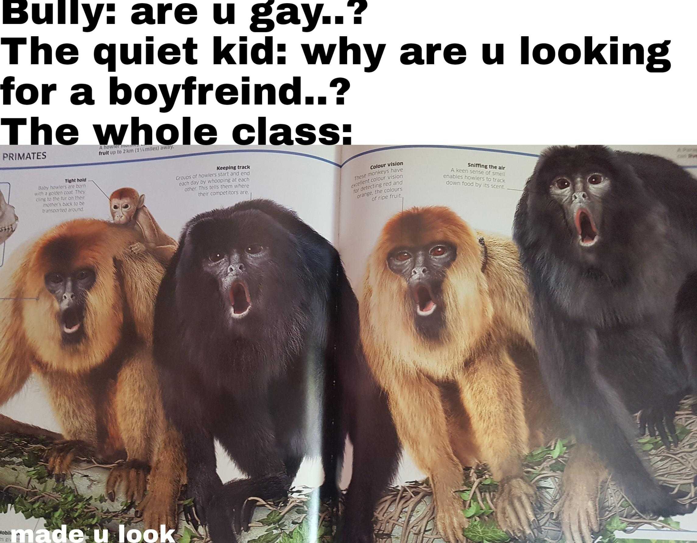 there are a lot of monkeys that are in the book