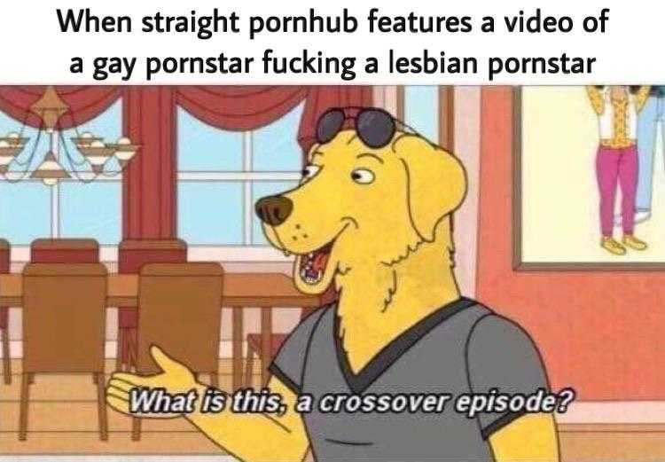 cartoon of a dog with sunglasses on and a caption that reads, when straight pomb features a video of gayns fucking a lesbian pornstar