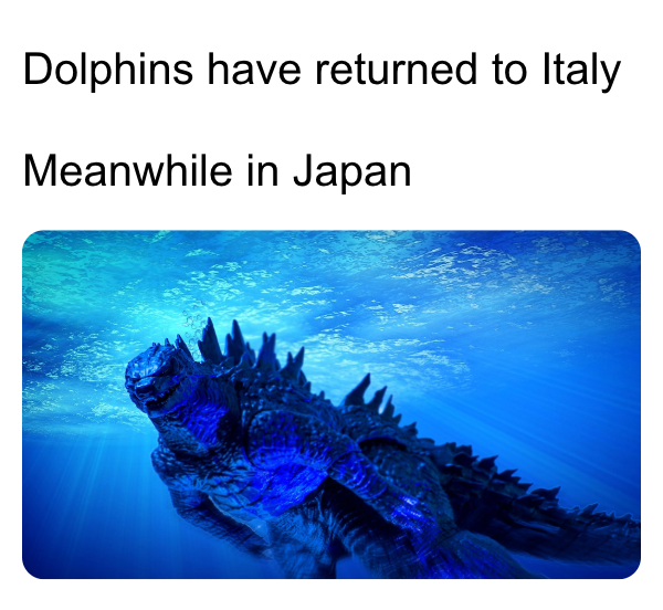 a close up of a godzilla swimming in the ocean with a caption that reads dolphins have returned to italy