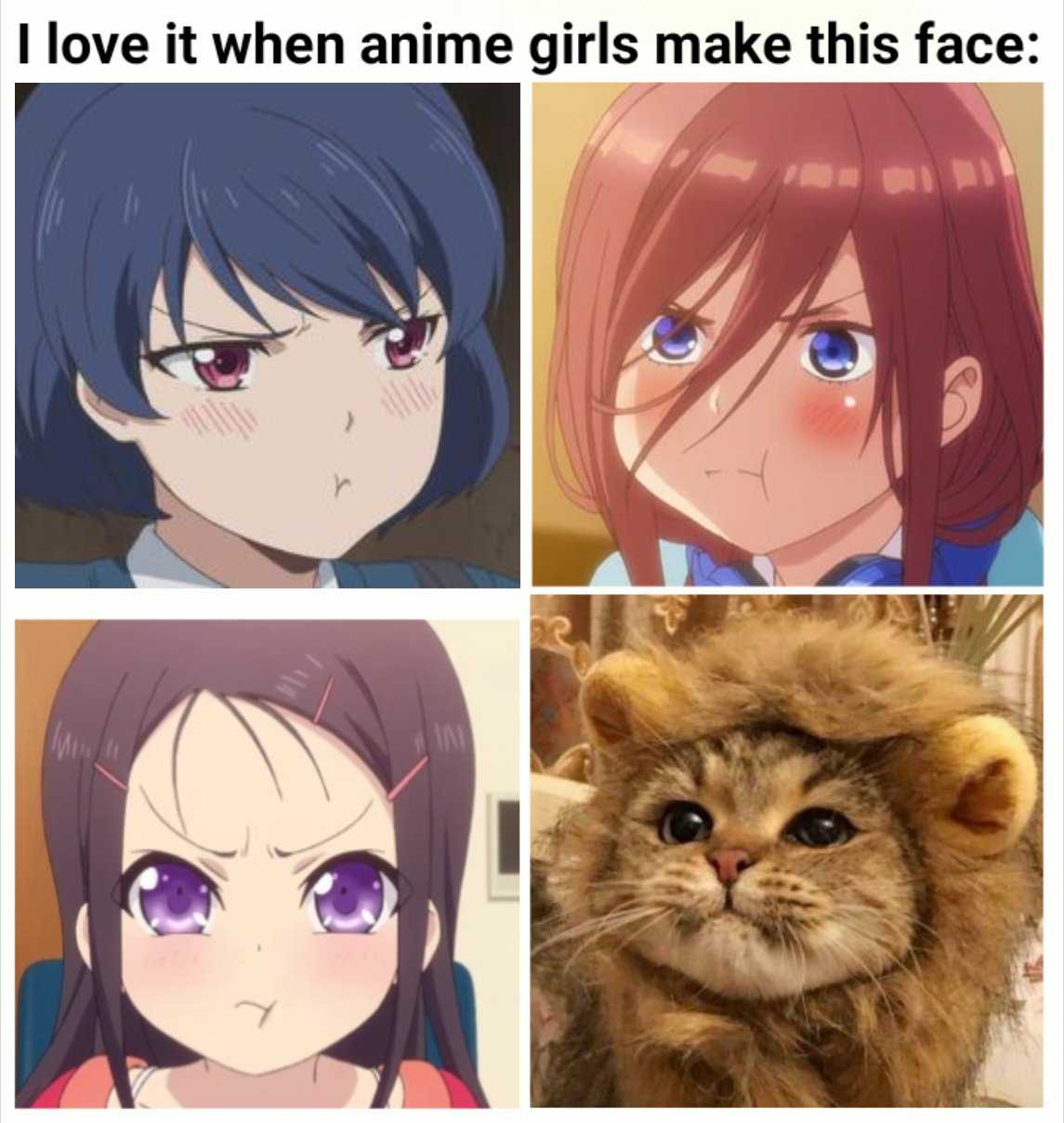 four pictures of a cat with different expressions and a caption of a girl with a lion face